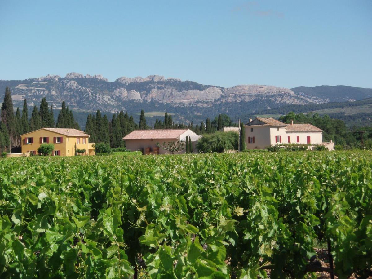 Les Vignes